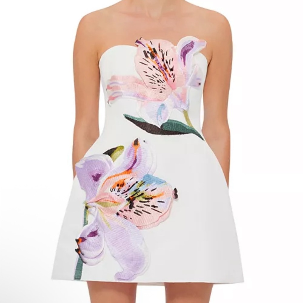Leo Lin Rosario Appliqué Floral Bustier Mini Dress